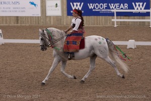 Lusitano Breed Society of Great Britain Show - Hartpury College - 27th June 2009